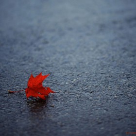 blog_osz_andreas_steegmann_500px