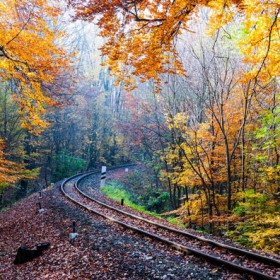 blog_osz_deakb_flickr