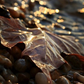 blog_osz_edina_janega_500px