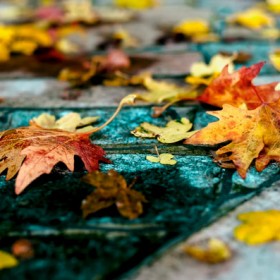 blog_osz_nikos_kalkounos_500px