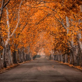 blog_osz_pasztor_david_500px