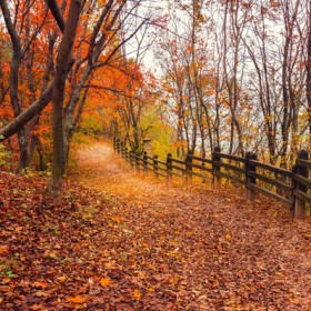 blog_osz_titkos_janos_500px