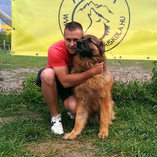 kutyafoto_workshop_szabadter_23