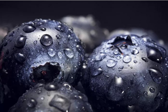 nextfoto_blog_5_makrofoto_tema_01