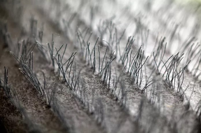 nextfoto_blog_5_makrofoto_tema_02