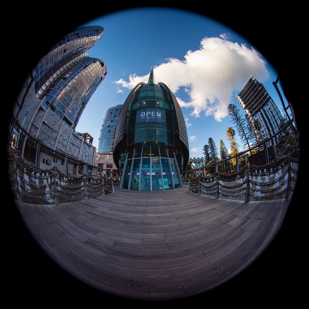 halszem (fisheye)