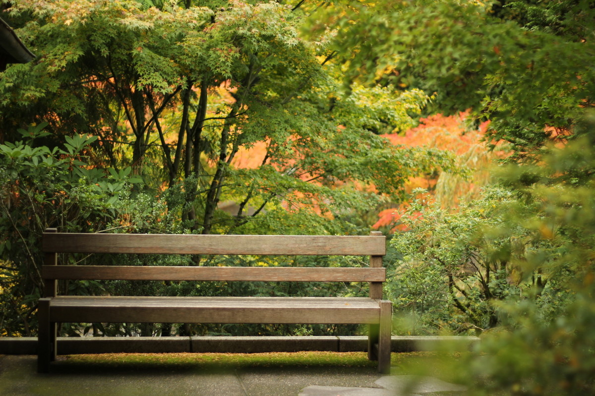 Normál objektív - NEXTFOTO