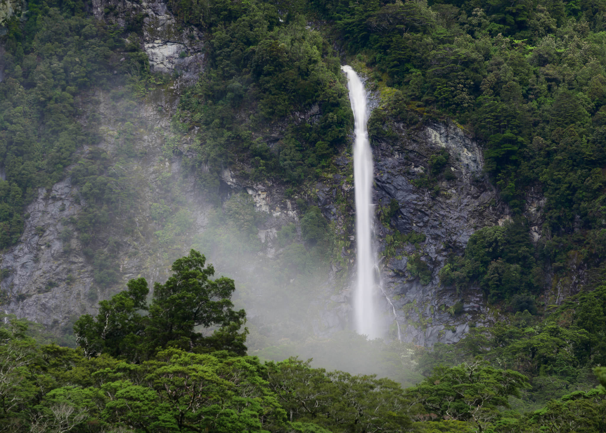 Teleobjektív - NEXTFOTO