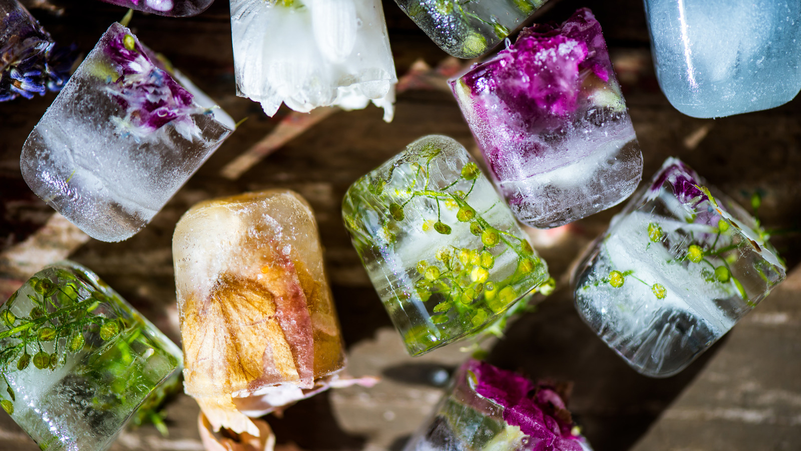 Fagyaszd meg a pillanatot! - Fényképezés otthon - NEXTFOTO