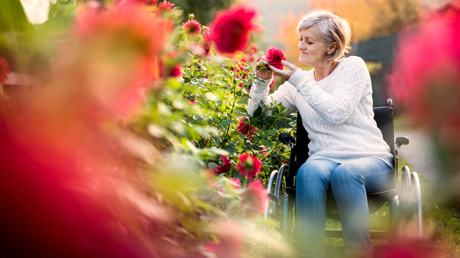 Családi fotózás - Meséljenek helyetted a képek! - Technoliving