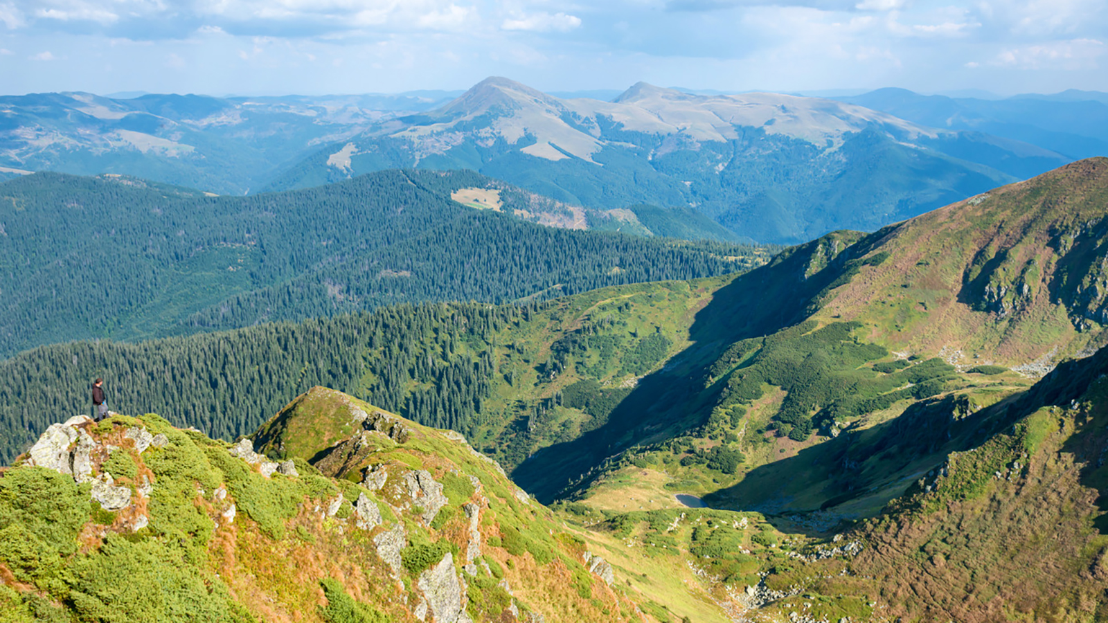 Mountain range with dry yellow grass Használd ki a vezérvonalakban rejlő lehetőségeket! - NEXTFOTO