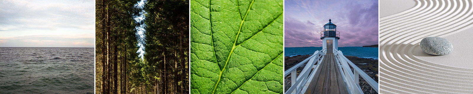 vezervonalak_kep4 Használd ki a vezérvonalakban rejlő lehetőségeket! - NEXTFOTO