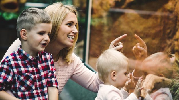 allatkertifenykepezes_boritokep Ezekre figyelj oda, ha állatkertben fényképezel! - NEXTFOTO