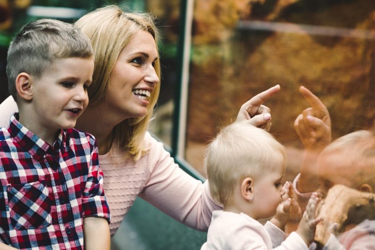 allatkertifenykepezes_boritokep Ezekre figyelj oda, ha állatkertben fényképezel! - NEXTFOTO