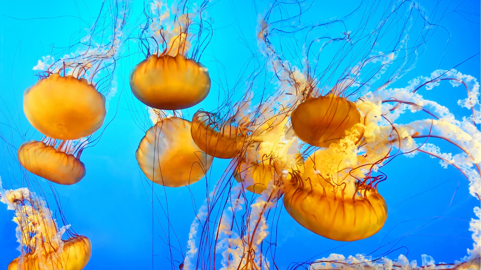 Ezekre figyelj oda, ha állatkertben fényképezel! - NextFOTO