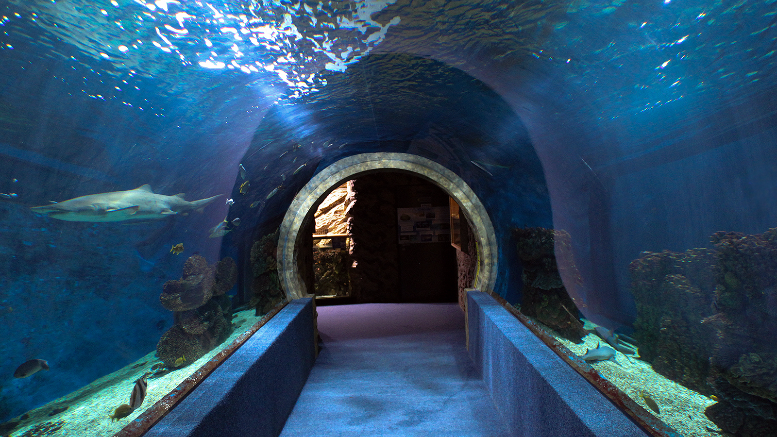 Nyíregyházi Állatpark - 5+1 helyszín, amit fel kell fedezned a fényképezőgépeddel! - NEXTFOTO