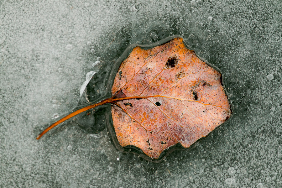 gyor_tanulok_nextfoto_02