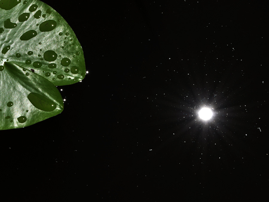 gyor_tanulok_nextfoto_04