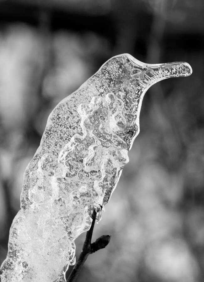 gyor_tanulok_nextfoto_07