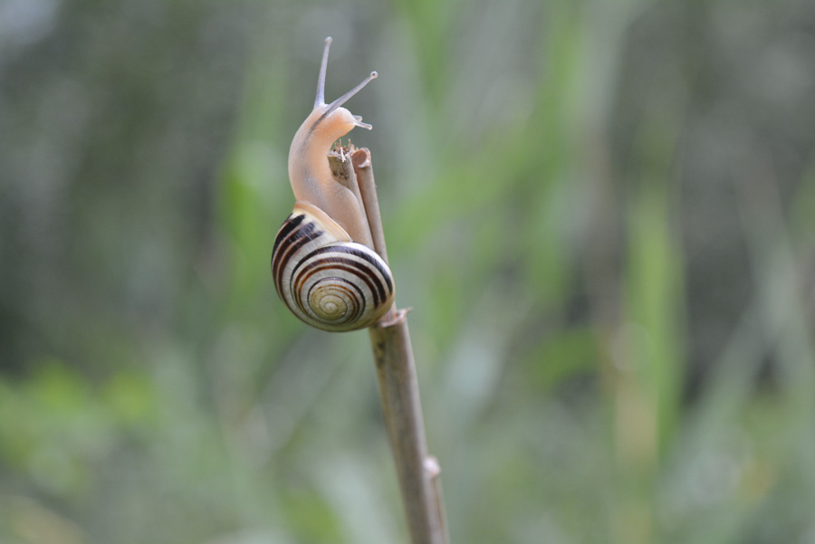 gyor_tanulok_nextfoto_08