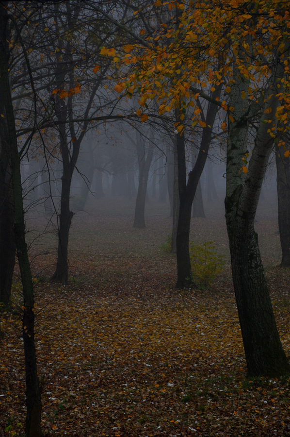 gyor_tanulok_nextfoto_11