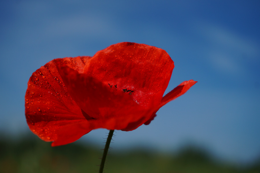 gyor_tanulok_nextfoto_12