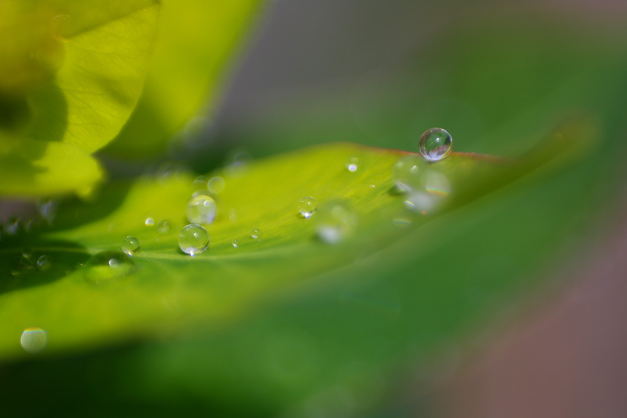 gyor_tanulok_nextfoto_15