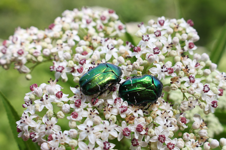 gyor_tanulok_nextfoto_17