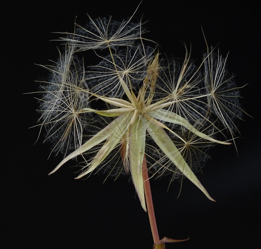 gyor_tanulok_nextfoto_20