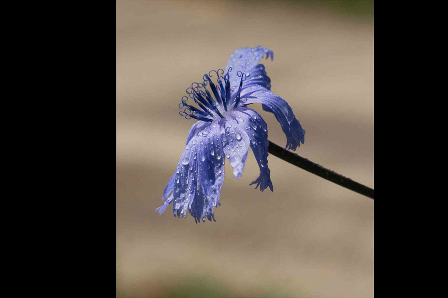 gyor_tanulok_nextfoto_22