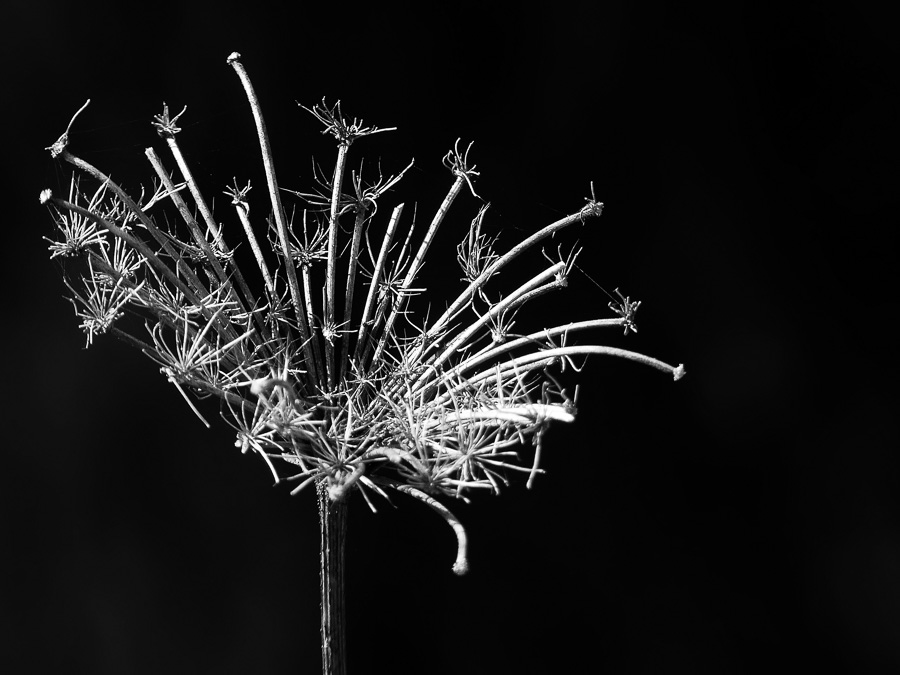 gyor_tanulok_nextfoto_23