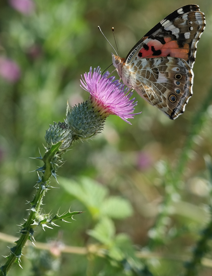 gyor_tanulok_nextfoto_25
