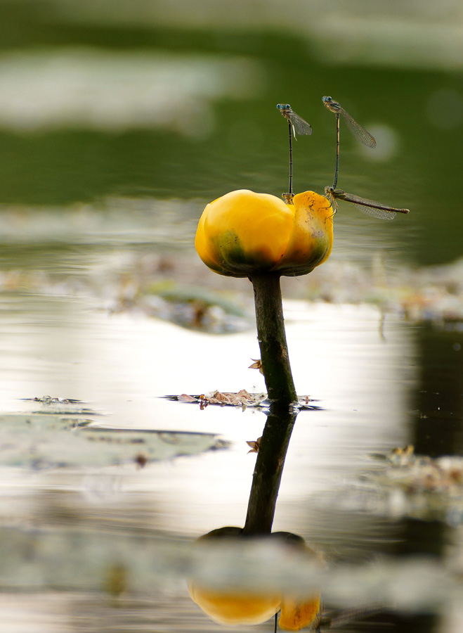 gyor_tanulok_nextfoto_26