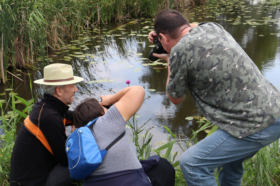 gyor_werk_nextfoto_05