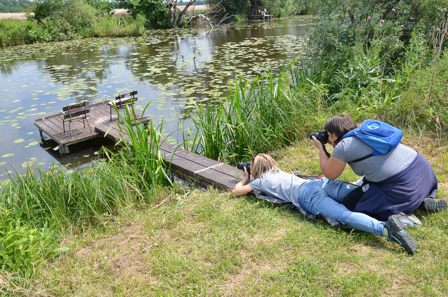 gyor_werk_nextfoto_07