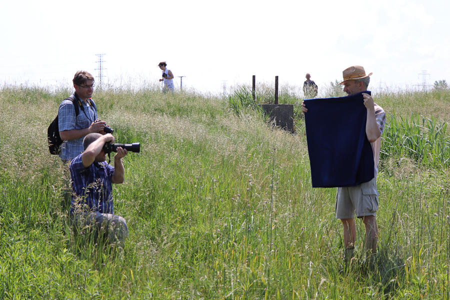 gyor_werk_nextfoto_10