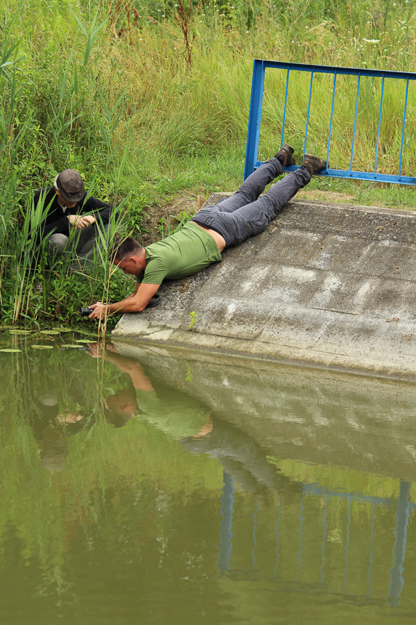 gyor_werk_nextfoto_11
