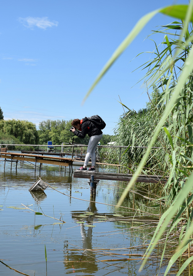 gyor_werk_nextfoto_19