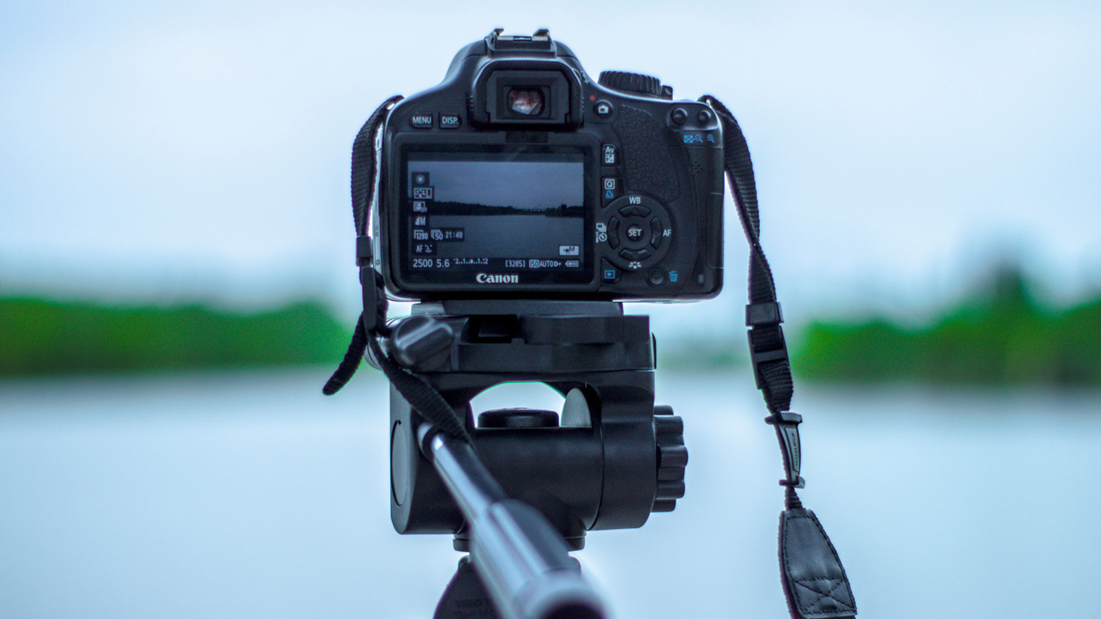 Fényképezés esőben - Ha ügyesen csinálod, a végeredmény mindenért kárpótol - Nextfoto