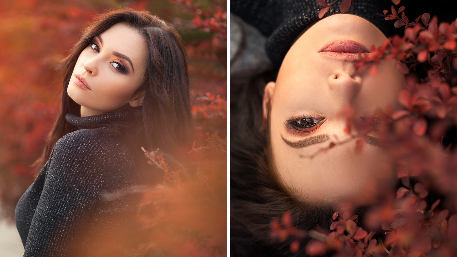 nextfoto Őszi képek - Ragadd meg a géped, vedd észre a lehetőséget! - nextfoto