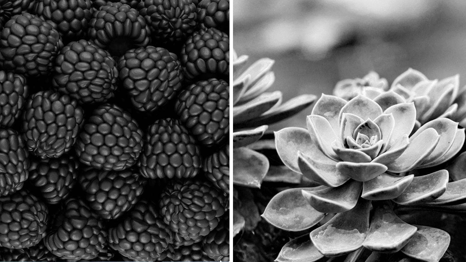 A kerted kincseket rejt! – Tippek természetfotók készítéséhez - Nextfoto