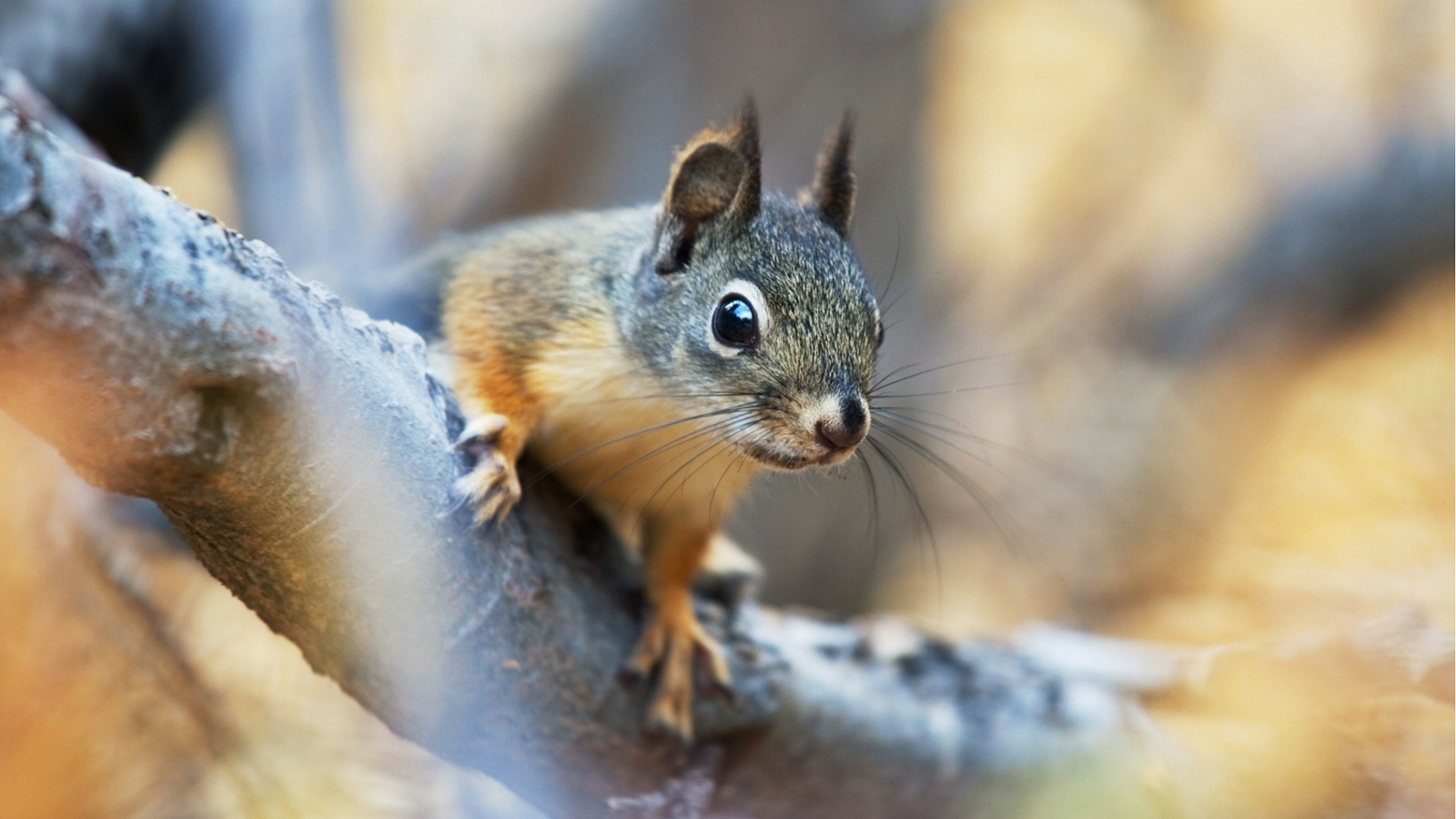 A kerted kincseket rejt! – Tippek természetfotók készítéséhez - Nextfoto