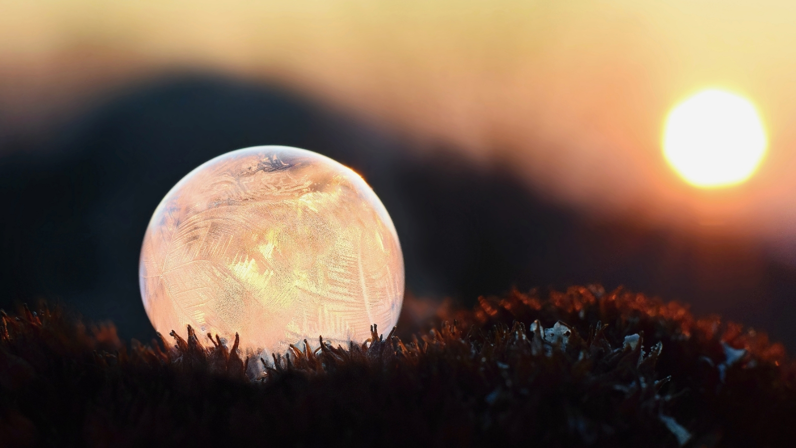 Gondolatébresztő tippek és hasznos tanácsok téli képek készítéséhez - Nextfoto