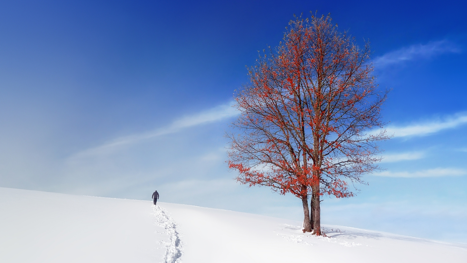 Gondolatébresztő tippek és hasznos tanácsok téli képek készítéséhez - Nextfoto