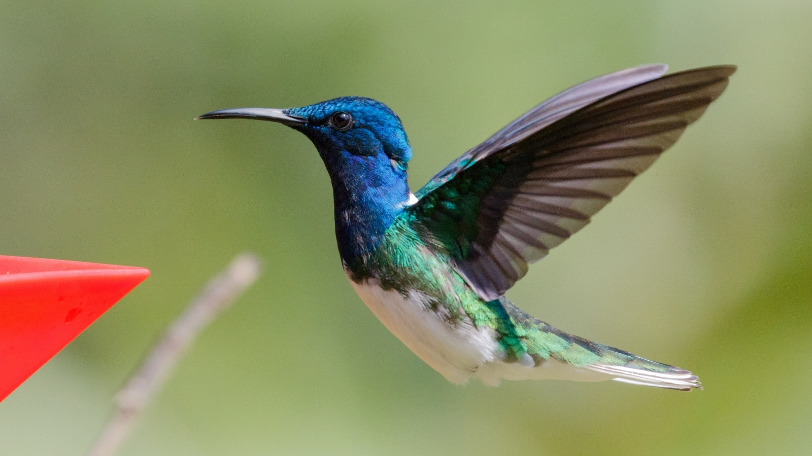 zársebesség - NextFoto