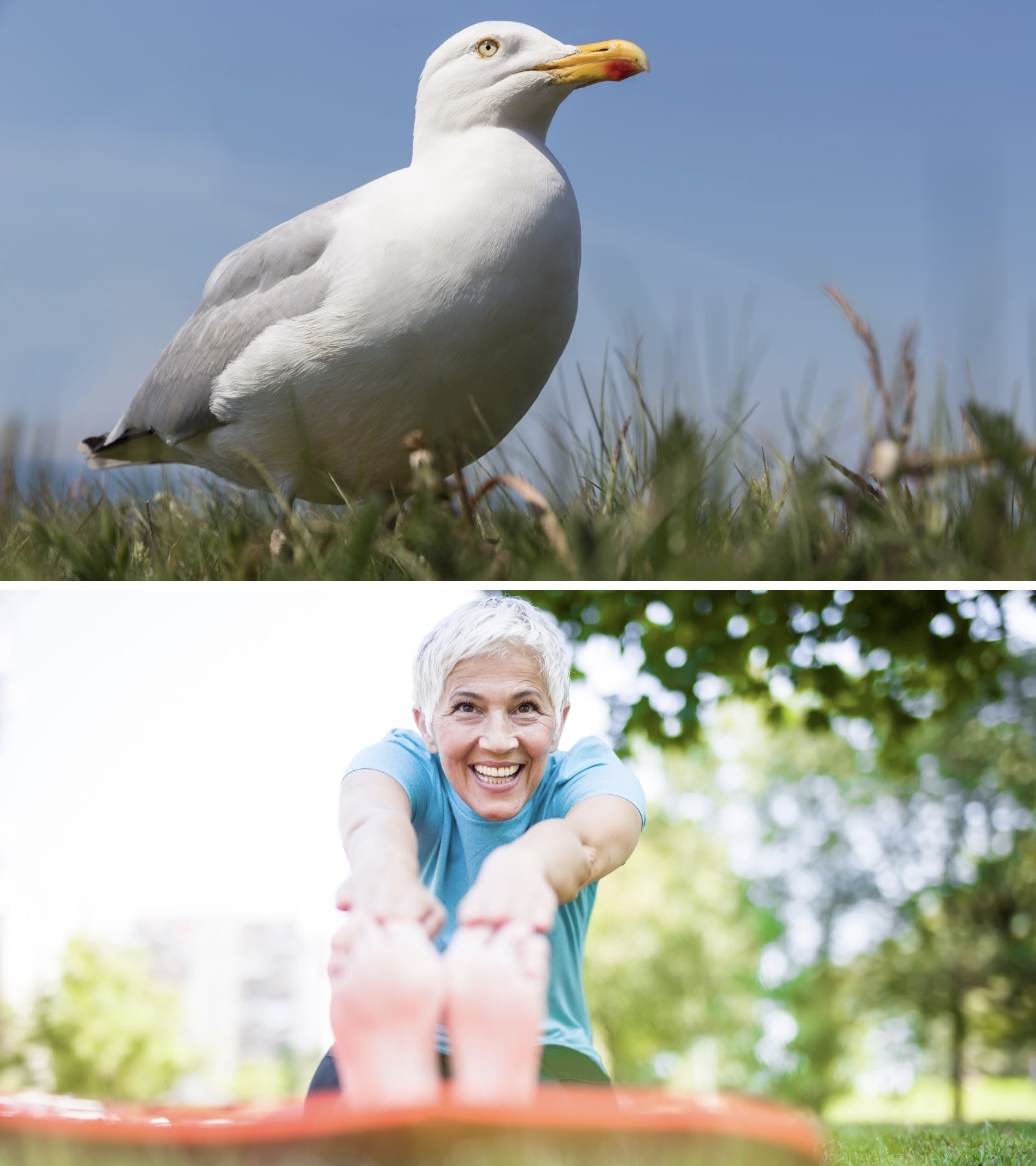 Szemmagasság helyett – Az ideális nézőpont megtalálása