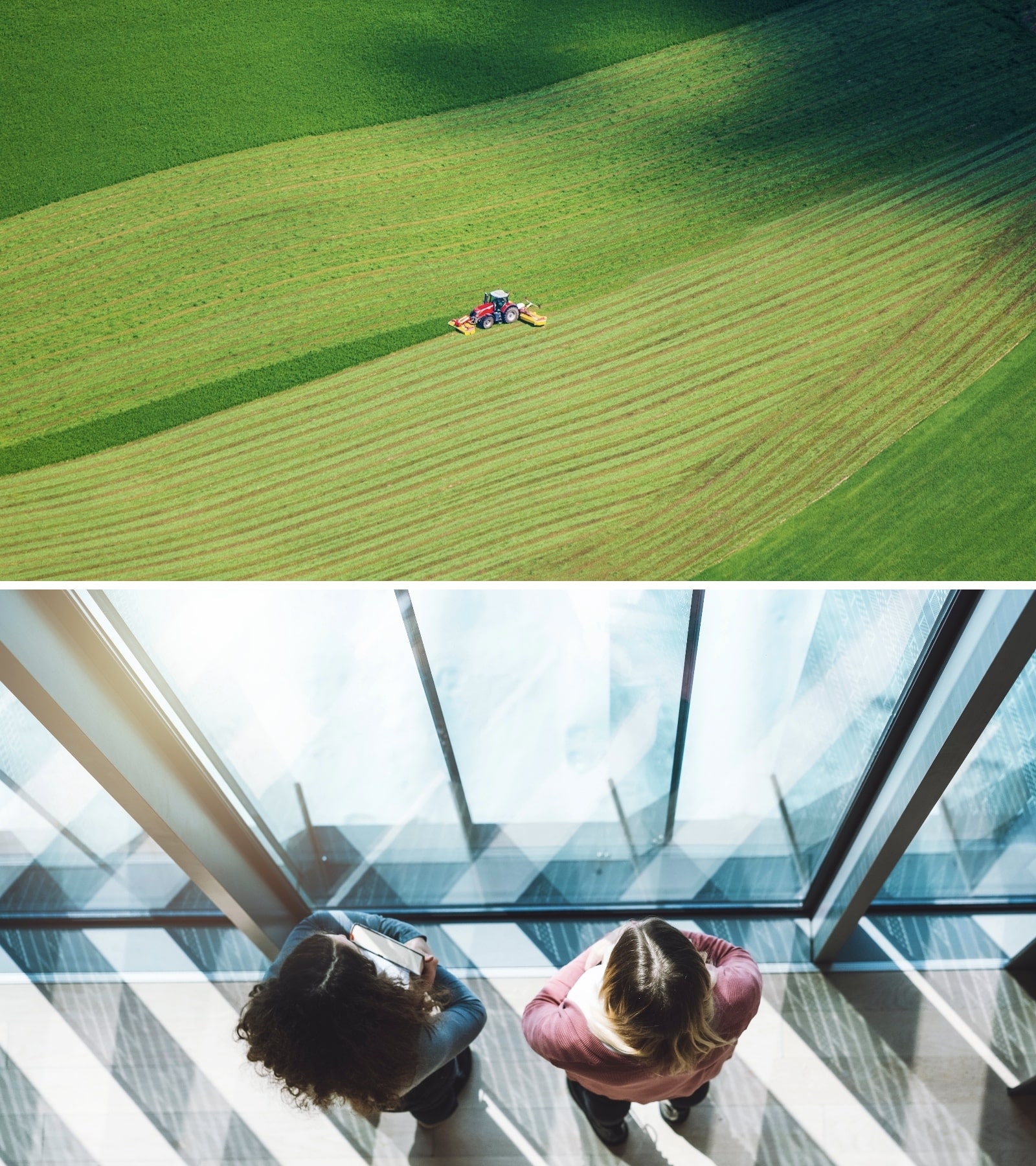 Szemmagasság helyett – Az ideális nézőpont megtalálása